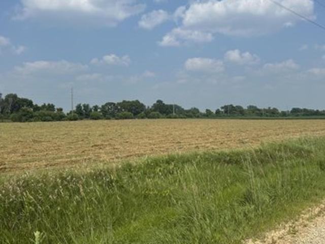 Land for sale in Randolph, Minnesota