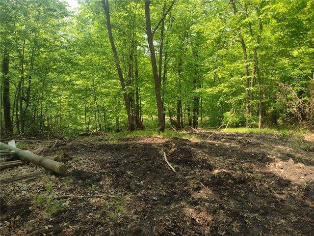 Land for sale in Pelican Rapids, Minnesota