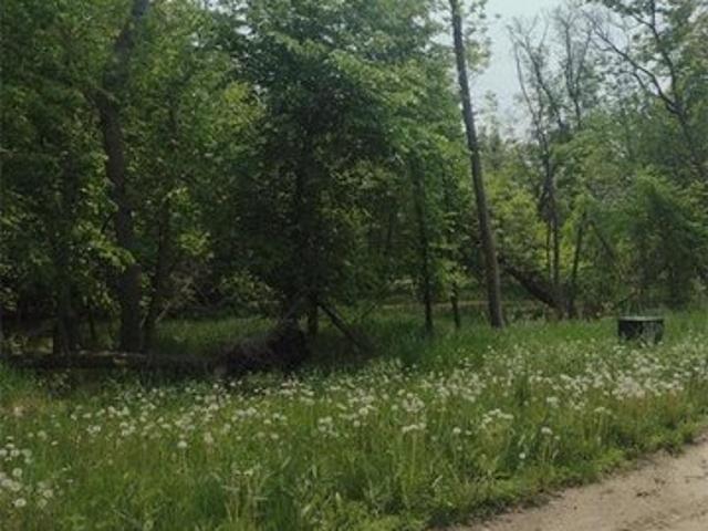 Land for sale in Pelican Rapids, Minnesota