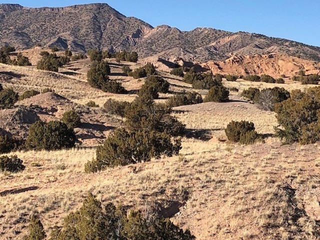 Land for sale in Medanales, Rio Arriba County