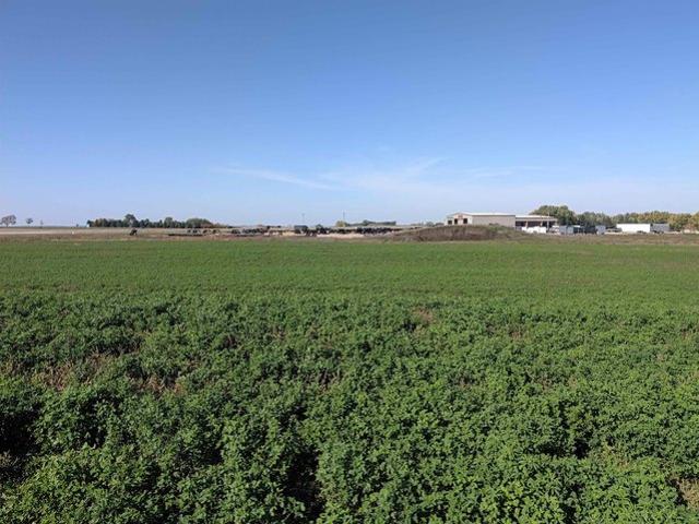Land for sale in Humboldt, Minnehaha County
