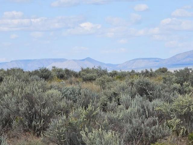 Land for sale in Belen, Valencia County