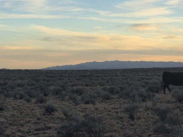 Land for sale in Belen, Valencia County