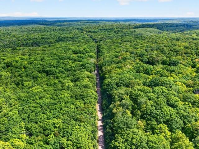 Land for sale in Sawyer, Wisconsin