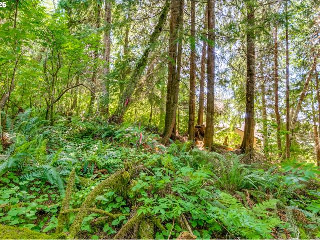 Land for sale in Oregonia