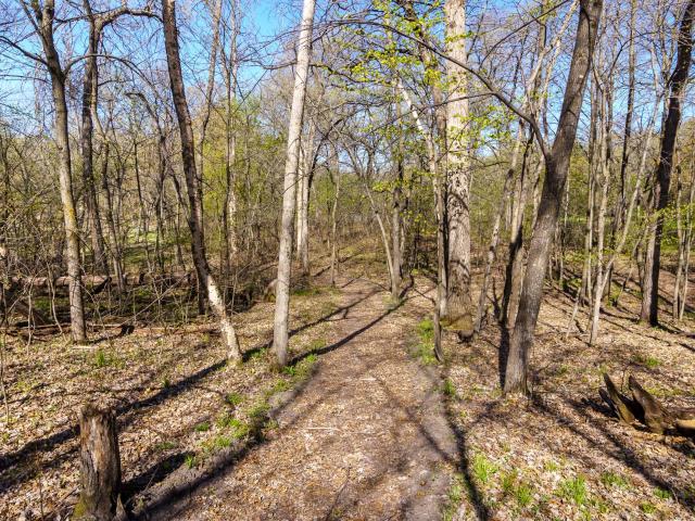 Land for sale in Minnesota