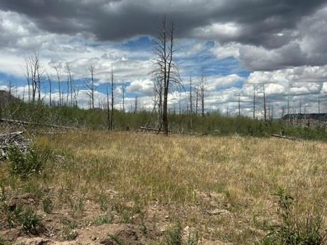 Land for sale in La Veta, Colorado