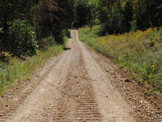 Land for sale in Freetown, Indiana