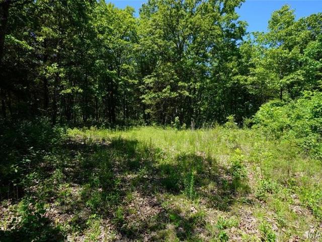 Farm for sale in Gasconade, Missouri