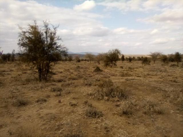 Land for sale