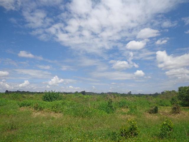 Land for sale in Kiharu, Murang'a