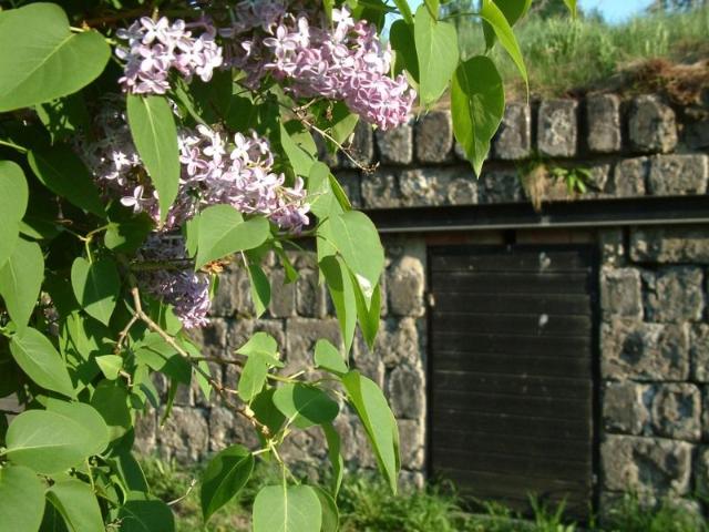 Lägenhet hyra i Sandviken, Gävleborg