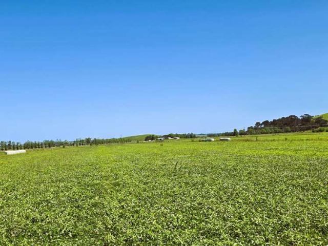 Property for sale in Rapuwai, Northland