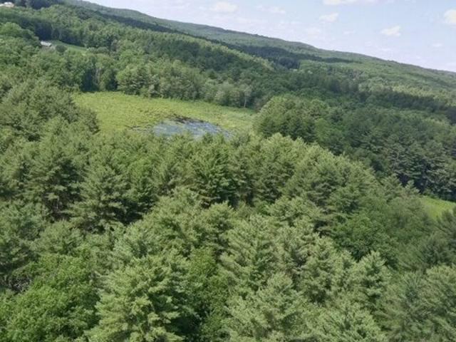 Land for sale in Charlton, Worcester County