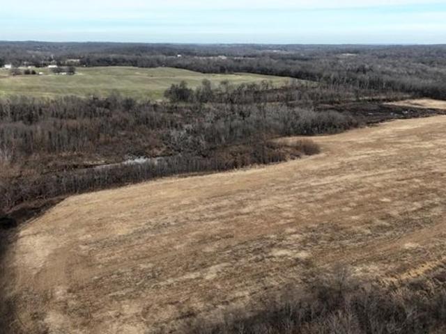Farm for sale in Ledbetter, Kentucky