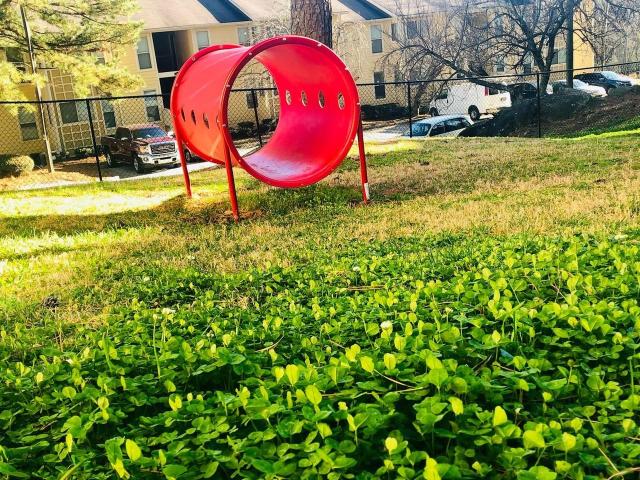Apartment for rent in Norcross, Gwinnett County