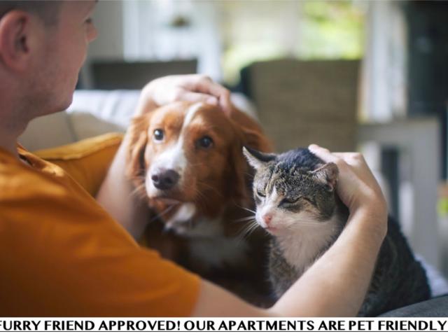 Apartment for rent in Buford, Georgia