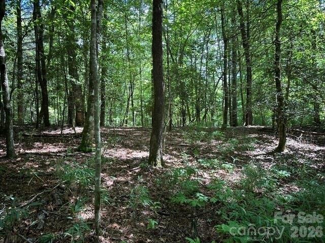 Land for sale in Transylvania, North Carolina