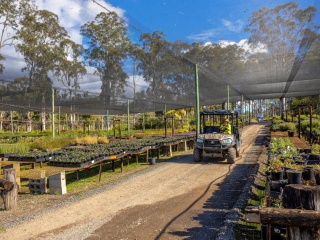 Property for sale in Tinonee, New South Wales