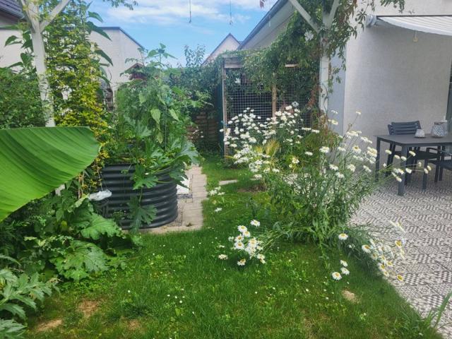 Maison vente à Mulhouse, Blotzheim