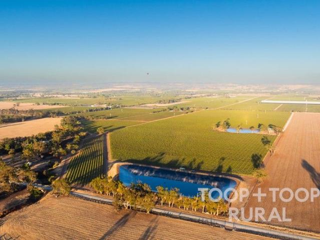 Cottage for sale in Ebenezer, South Australia