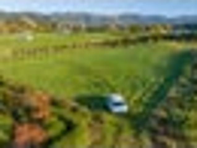 Land for sale in Waimate
