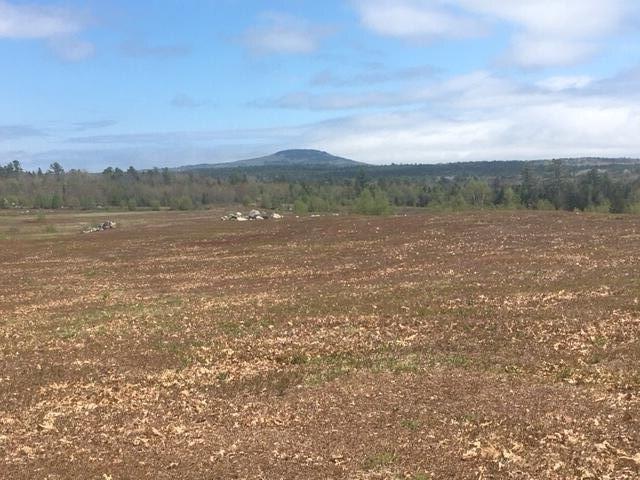 Land for sale in Blue Hill, Maine