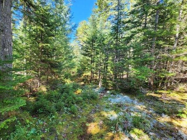 Land for sale in Blue Hill, Maine