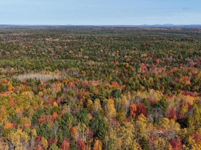 Land for sale in Blue Hill, Maine