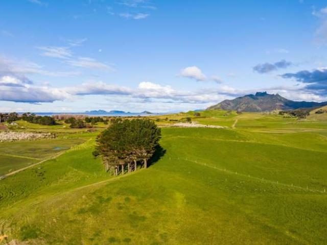 Land for sale in Whangarei Heads, Northland