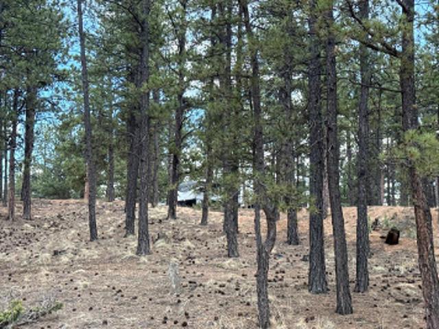 House for sale in Teller, Colorado