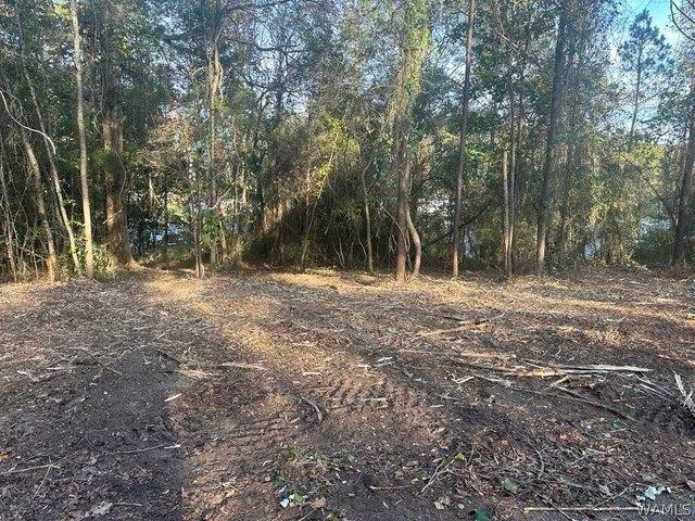 Land for sale in Brookwood, Tuscaloosa County