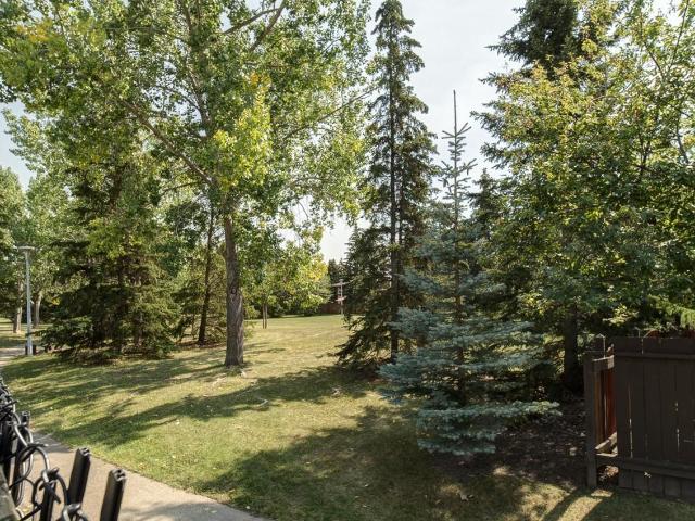 Apartment for rent in Wedgewood, Alberta