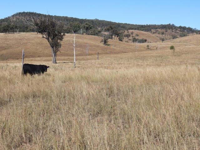 Cottage for sale in Mount Perry, Queensland