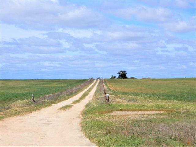Cottage for sale in Geranium, South Australia