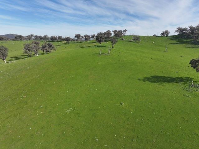 Acreage for sale in Coolac, New South Wales