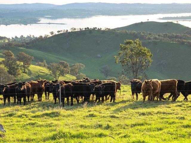 Cottage for sale in Bowna, New South Wales