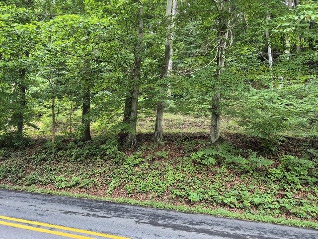 Land for sale in Virginia
