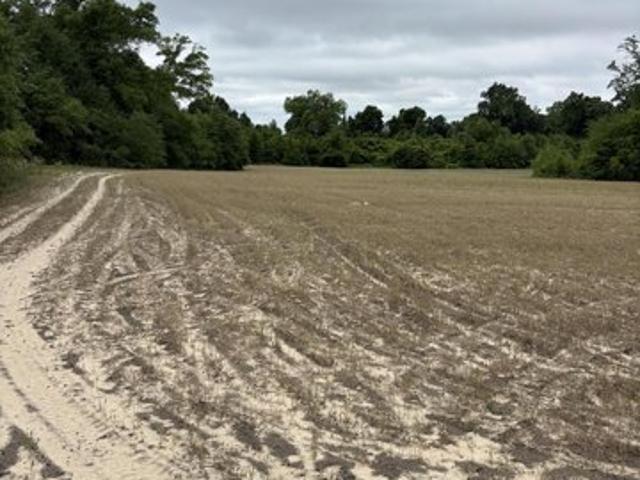 Land for sale in Greenwood, Jackson County