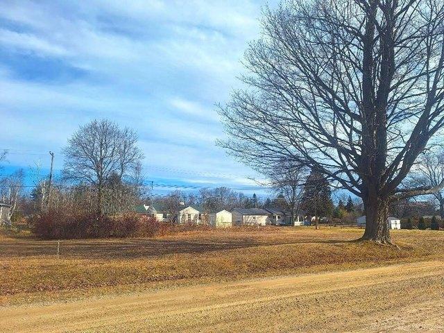 Land for sale in Lexington, Michigan