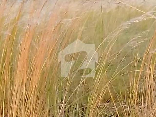 Property for sale in Islamabad