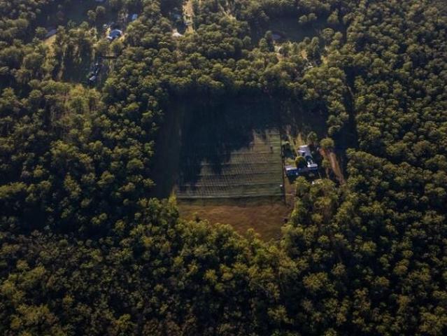 Property for sale in Barraganyatti, New South Wales