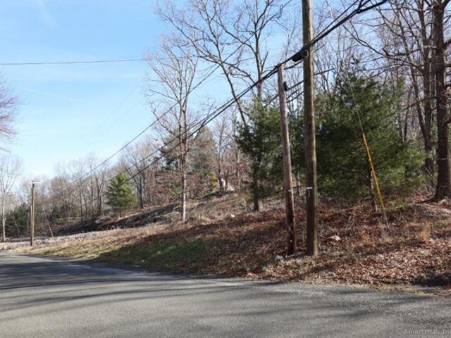 Land for sale in Bridgewater, Connecticut