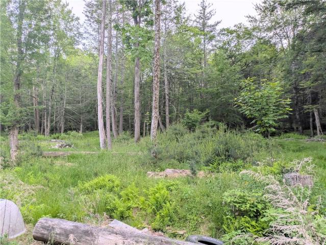 Land for sale in Olive, New York