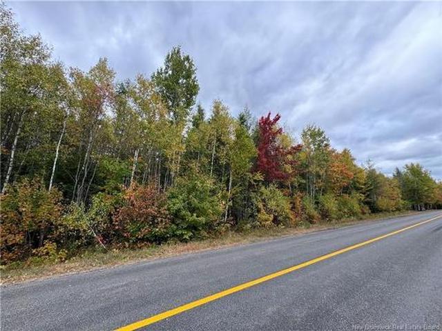 Land for sale in New Brunswick