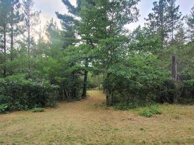 Land for sale in Gordon, Wisconsin