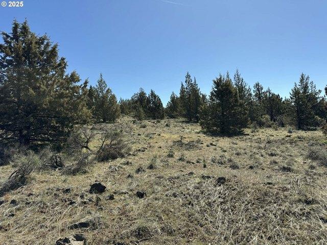 Land for sale in Oregonia