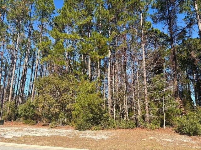 Land for sale in Georgia