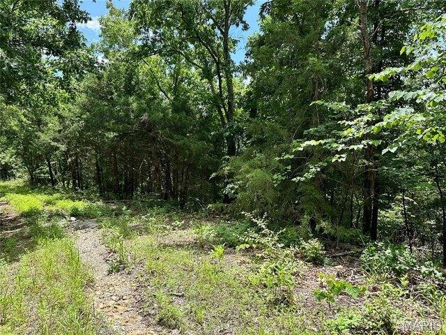Land for sale in Phelps, Missouri