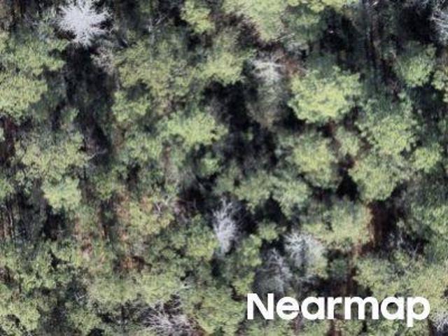 Land for sale in North Carolina
